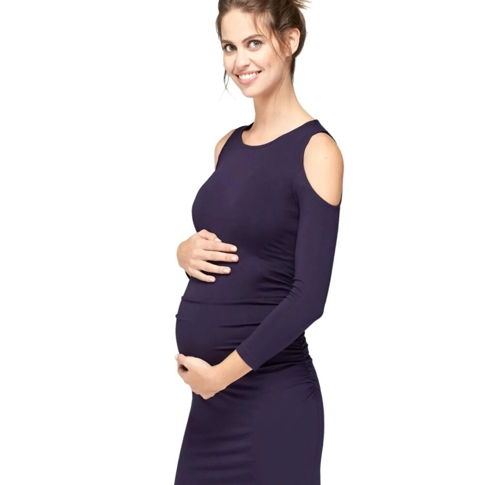 Isabella Oliver Anneli Maternity Dress XS